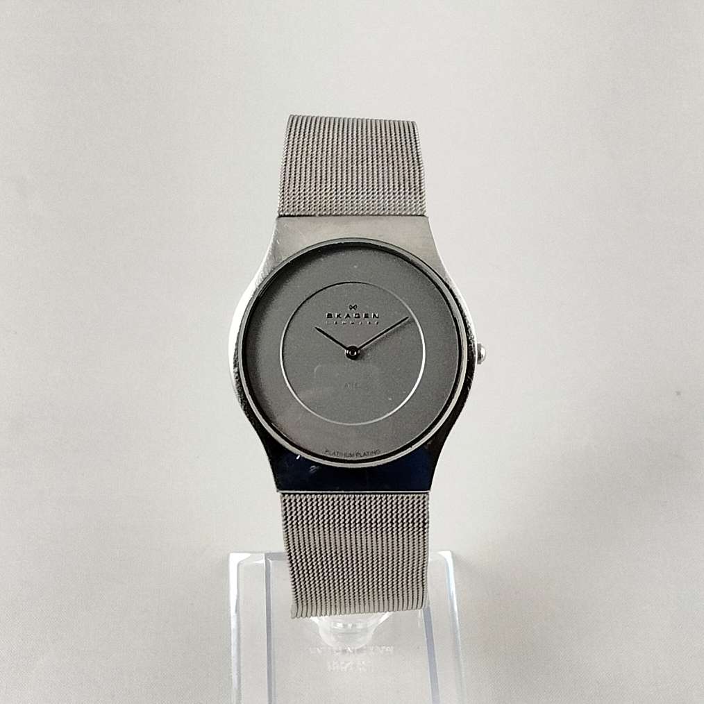 Skagen Men's Stainless Steel Watch, Mesh Strap