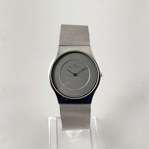 Skagen Men's Stainless Steel Watch, Mesh Strap