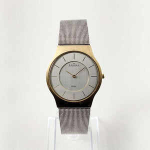 Skagen Men's Stainless Steel Watch, Gold Tone Details, Mesh Strap