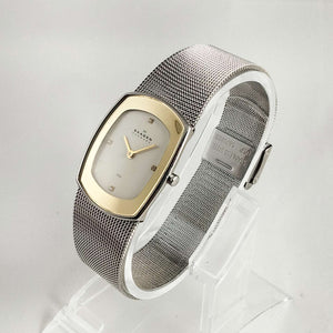 Skagen Unisex Watch, Elongated Dial, Gold Tone Details, Mesh Strap