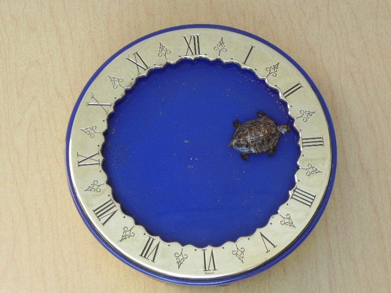 I Like Mike's Mid Century Modern Clock SOLD Gubelin Mystery Floating Turtle Water Clock, Rare, by Charles Hour