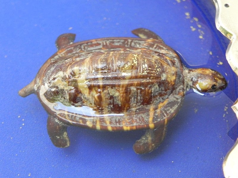 I Like Mike's Mid Century Modern Clock SOLD Gubelin Mystery Floating Turtle Water Clock, Rare, by Charles Hour