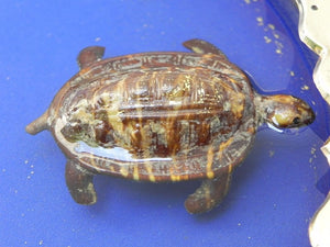 I Like Mike's Mid Century Modern Clock SOLD Gubelin Mystery Floating Turtle Water Clock, Rare, by Charles Hour