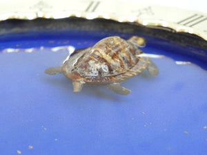 I Like Mike's Mid Century Modern Clock SOLD Gubelin Mystery Floating Turtle Water Clock, Rare, by Charles Hour