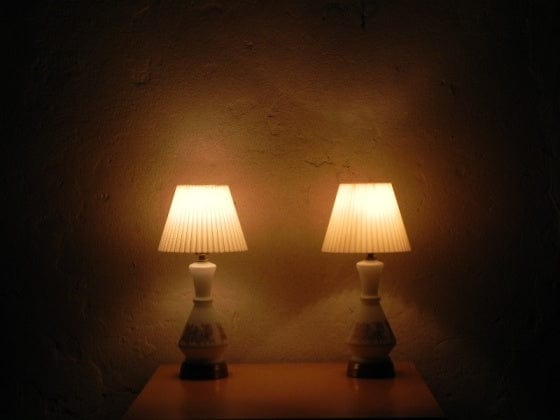 I Like Mike's Mid Century Modern lighting Pair Small White Glass Lamps with Gold Roses. Light Up Bases, Circa 1960