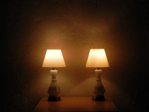I Like Mike's Mid Century Modern lighting Pair Small White Glass Lamps with Gold Roses. Light Up Bases, Circa 1960
