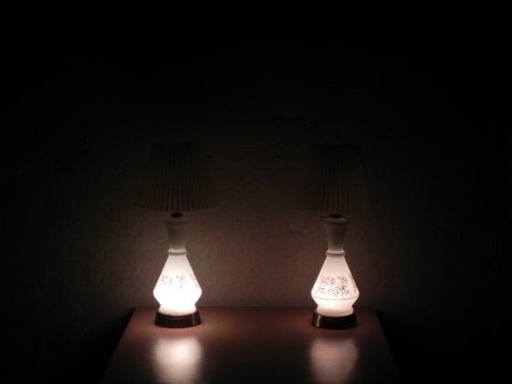 I Like Mike's Mid Century Modern lighting Pair Small White Glass Lamps with Gold Roses. Light Up Bases, Circa 1960
