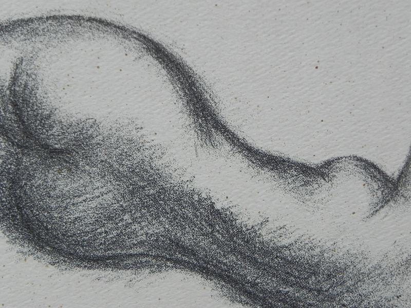I Like Mike's Mid Century Modern Wall Decor & Art Framed Lithograph by Soicher-Marrin Fine Art for Macy's - Twin Reclining Nudes