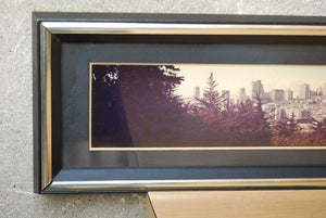 I Like Mike's Mid-Century Modern Wall Decor & Art San Francisco Panoramic Long Thin Photograph 1972 by Gene Wright