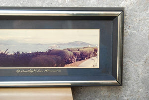 I Like Mike's Mid-Century Modern Wall Decor & Art San Francisco Panoramic Long Thin Photograph 1972 by Gene Wright