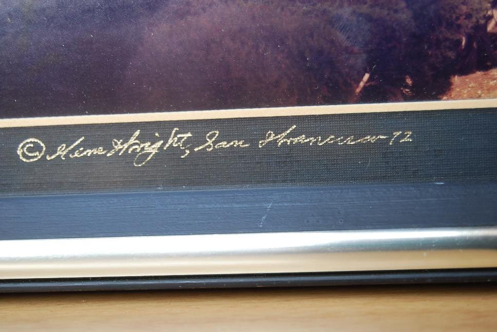 I Like Mike's Mid-Century Modern Wall Decor & Art San Francisco Panoramic Long Thin Photograph 1972 by Gene Wright