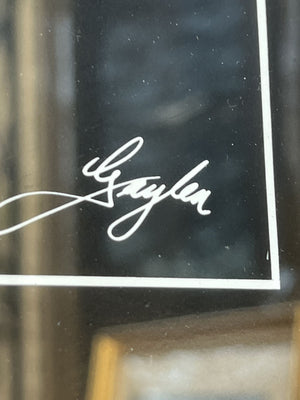 I Like Mike's Mid Century Modern Wall Decor & Art White Framed Black Matte Pink and Green Iris Wall Art, 1980s