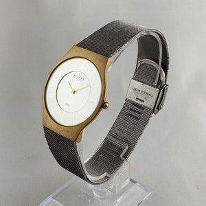 I Like Mikes Mid Century Modern Watches Skagen Oversized Watch, Gold Tone Details, Mesh Strap